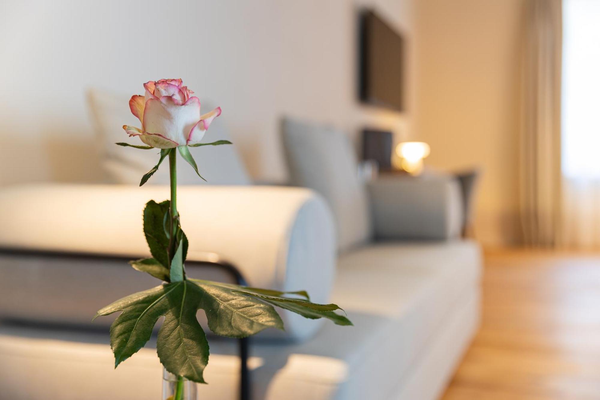 Boutique Hotel Gruener Zweig Schlettau 외부 사진
